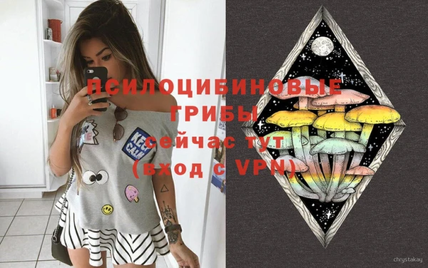 гашик Тобольск