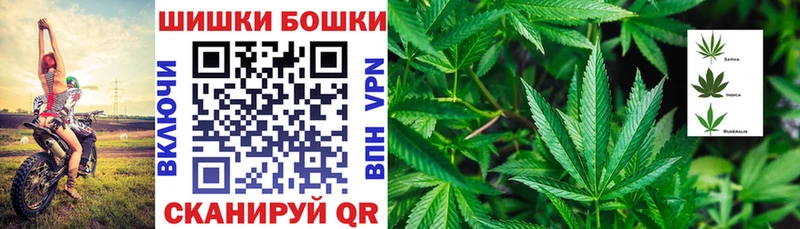 Купить  Темников  Канабис семена 